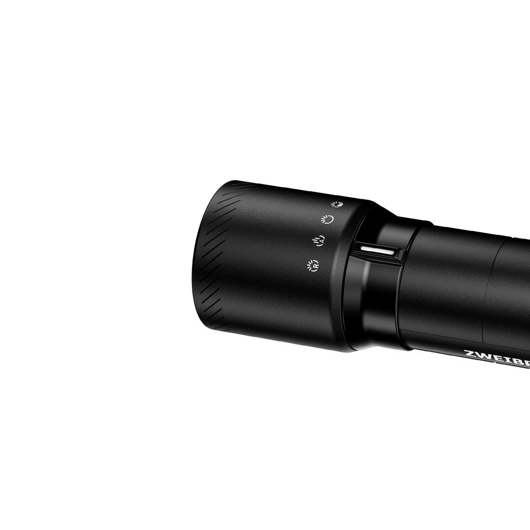 ZB6T